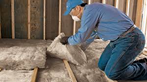 Best Insulation for New Construction  in South Daytona, FL