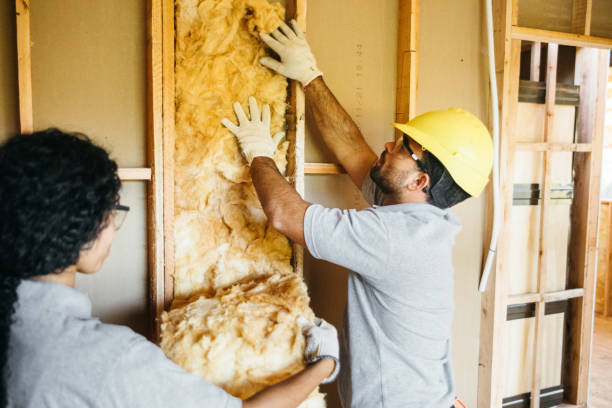 Best Garage Insulation  in South Daytona, FL